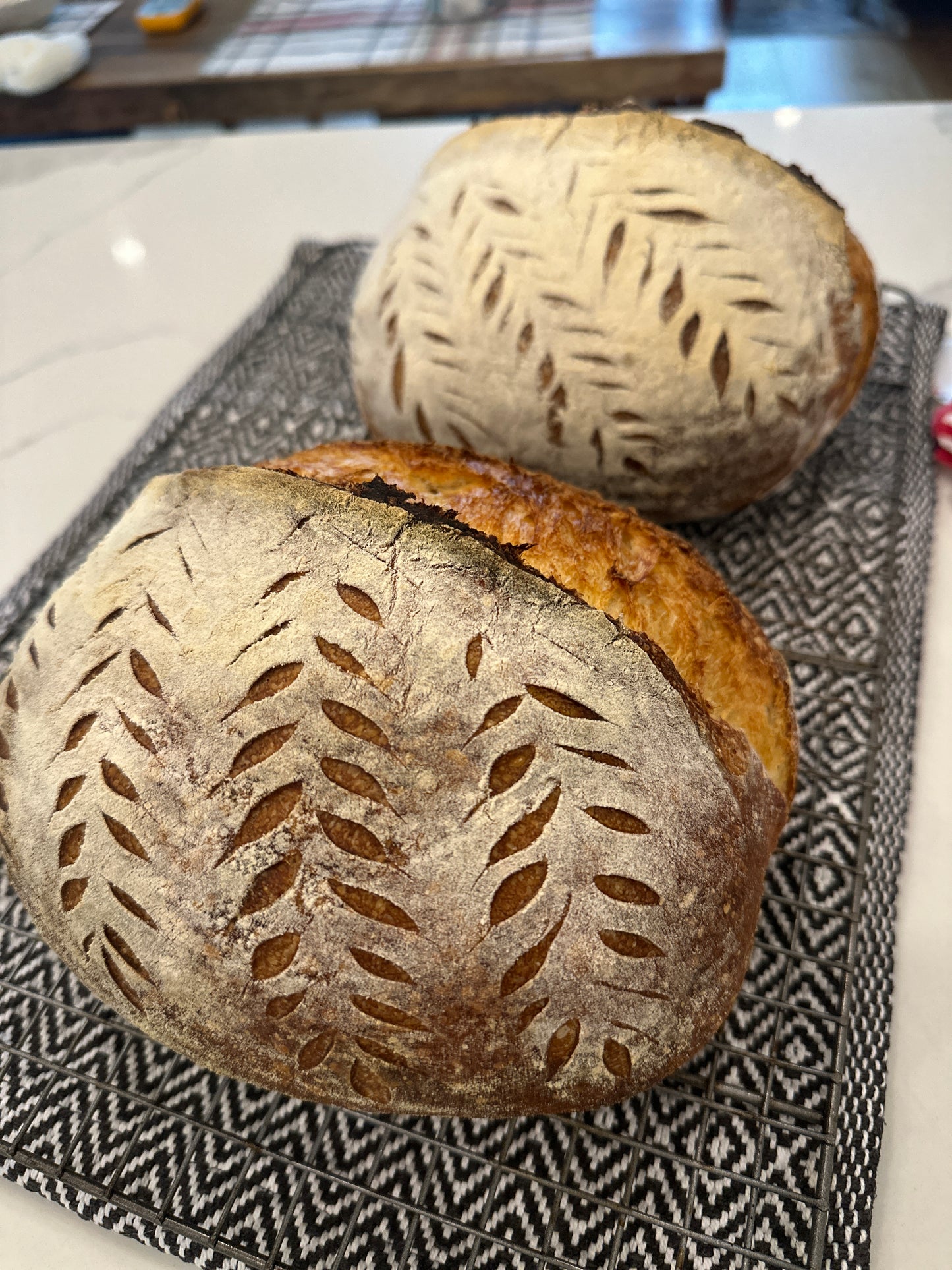 Sourdough Bread